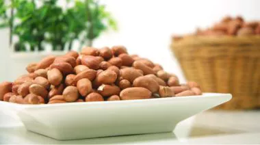 garnishing-instructions-image